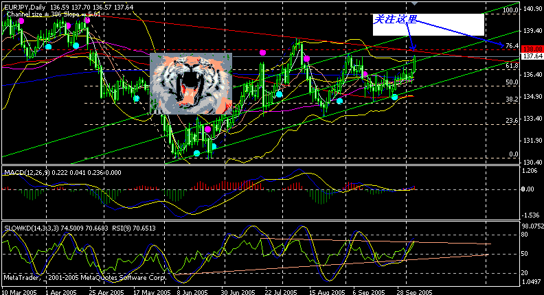 eur da.gif